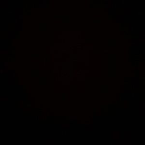 Meet your Posher, Ivy